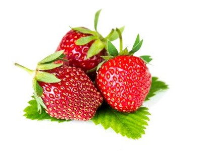 草莓移栽后澆水千萬(wàn)別做錯(cuò)，亂來(lái)要闖禍!