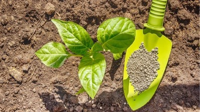 化肥、有機肥和生物菌肥各自有哪些不同？優(yōu)缺點是什么呢？