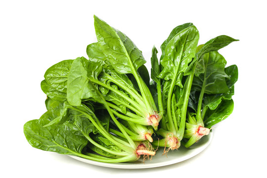 1149609_20210122100425096020_0 1149609_20210122100425096020_0