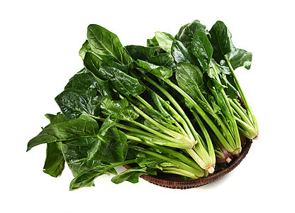 早春蔬菜定植如何才能提高成活率，避免出現(xiàn)死棵？