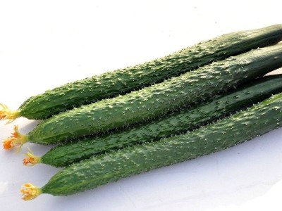 黃瓜藤蔓瘋長怎么辦？該怎么預(yù)防？