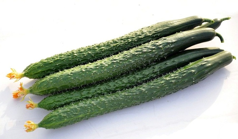 0035035640644653_b 0035035640644653_b