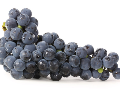 葡萄冬季如何管理?最全的葡萄過冬的正確方法!看這篇就夠了!