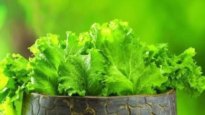 請(qǐng)注意!這4點(diǎn)沒做好，蔬菜或?qū)?yán)重減產(chǎn)