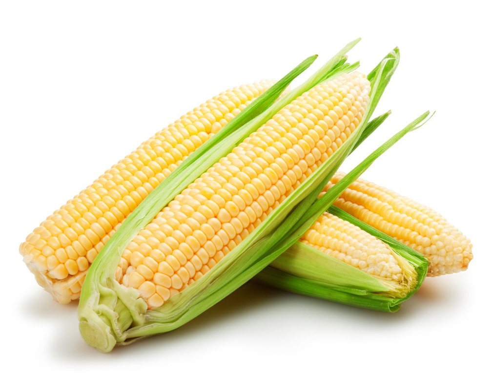 257626354832638043 257626354832638043