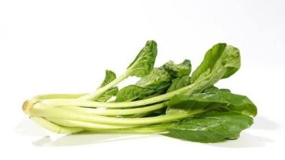 認清螨蟲為害特點  盡早應(yīng)對提高防效